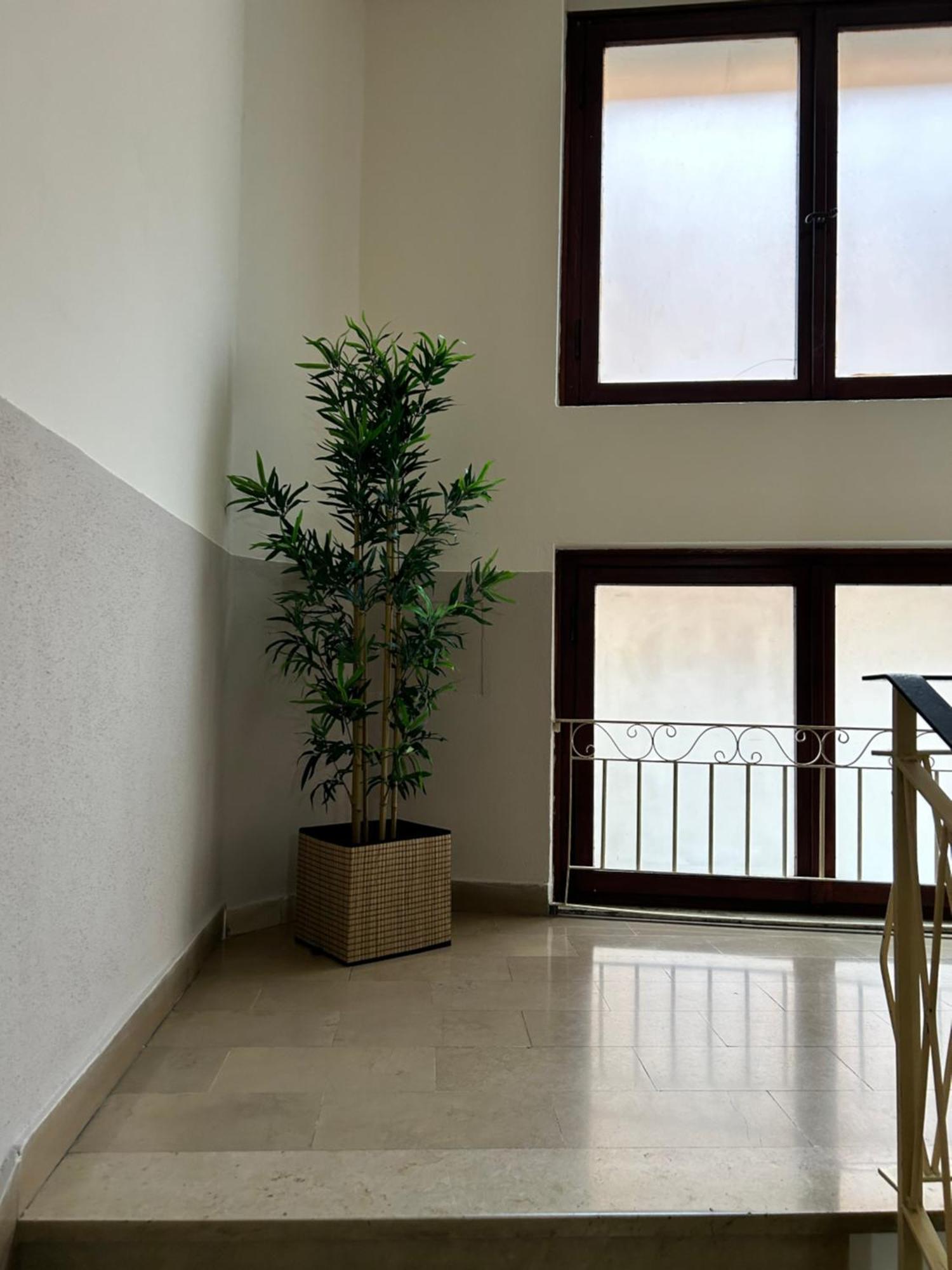 Hotel Cecile ปิซา ภายนอก รูปภาพ